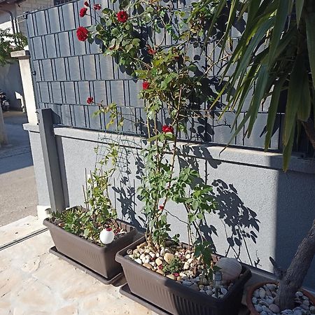 דירות Apartman Lara זאדאר מראה חיצוני תמונה